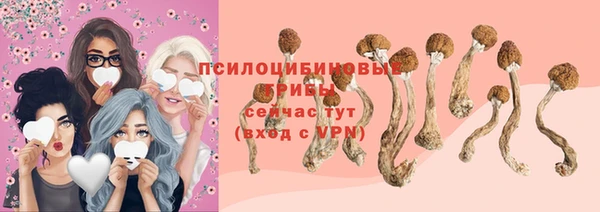 ALPHA PVP Алексин