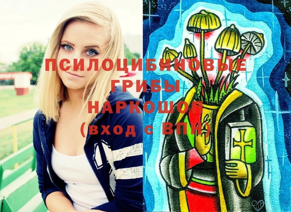 ALPHA PVP Алексин