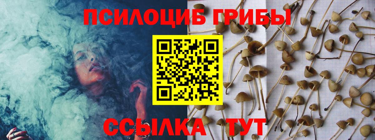 Псилоцибиновые грибы MAGIC MUSHROOMS  Вход с VPN  Осинники  Псилоцибиновые грибы Magic Shrooms 