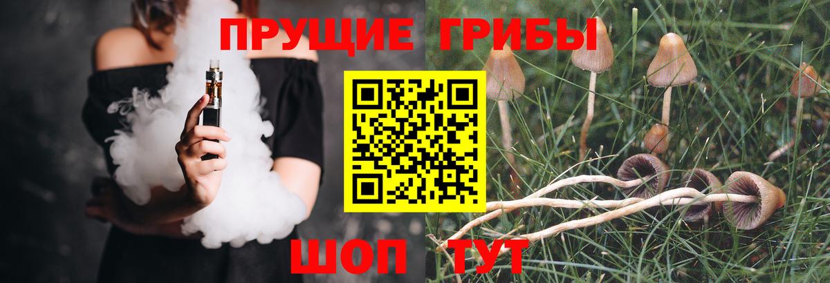 Псилоцибиновые грибы Magic Shrooms Осинники